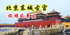 曰女人阴道视频看中国北京-东城古宫旅游风景区